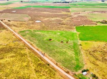 Campo · 37ha · Venta 37 Hectáreas Próximo a Ruta 5