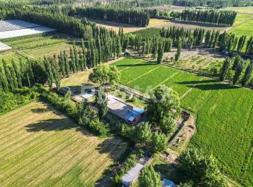 Campo · 120ha · Venta Chacra Vista Alegre Sur