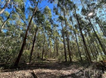 Campo · 30000000ha · Venta de Campos en Santa Rosa - Concepción - Corrientes