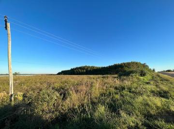 Campo · 1270000ha · Venta de Campo en Santa Rosa - Concepcion, Corrientes