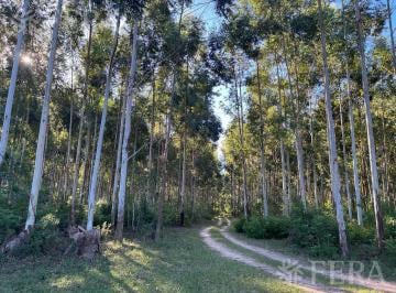 Campo · 2000000ha · Venta de Campo en Santa Rosa - Concepción, Corrientes
