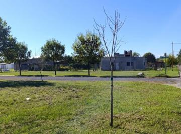 portada · Terreno de 609 m² Venta Anfiteatro y Espacios Verdes Andino