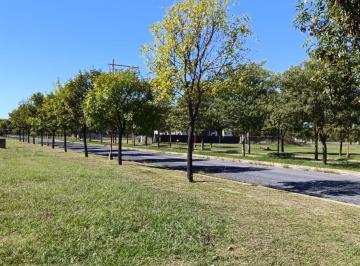 portada · Terreno de 525 m² Venta Anfiteatro y Espacios Verdes Andino