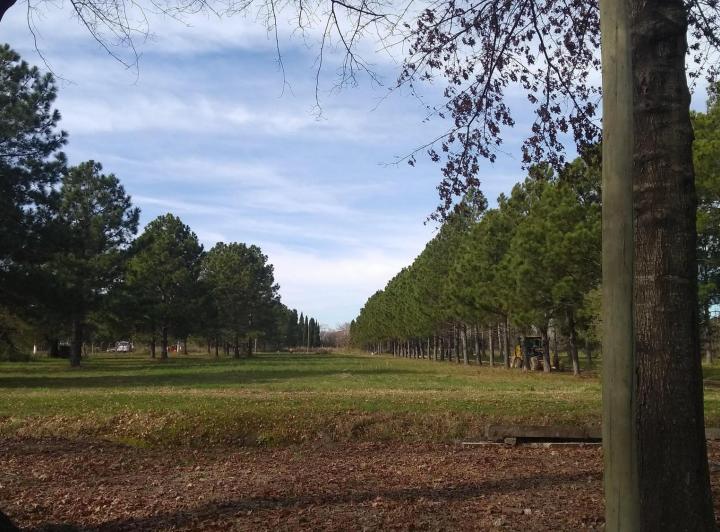 Terreno · 377m²