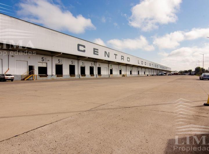 Bodega-Galpón · 10000m²