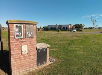 WhatsApp Image 2026-08-03 at 5.39.46 PM (1).jpeg · Venta Lote San Sebastián Area 7 Zelaya Pilar