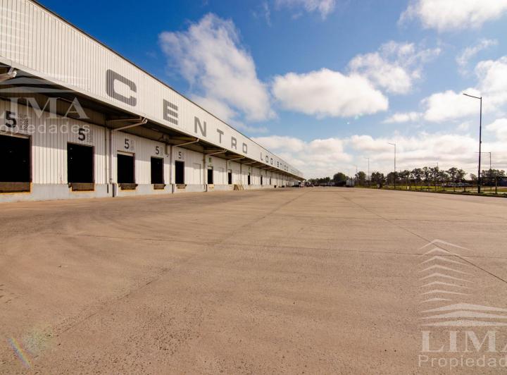Bodega-Galpón · 6000m²
