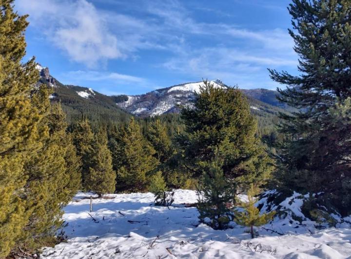 Terreno · 2000m²