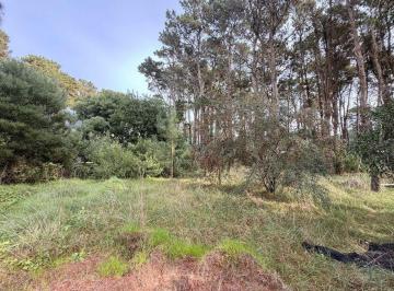 SCZ-SCZ-263_2 · Lote Barrio Alamos - Pinamar Norte