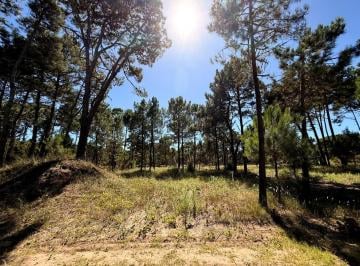 SCZ-SCZ-238_2 · Lote en Venta - Barrio Bosques Pinamar