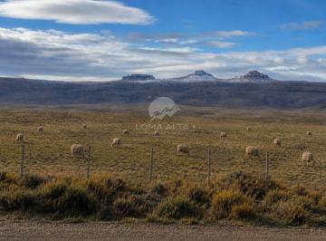 Campo · 1ha · 2 Ambientes · Campo de Ovinos en Provincia del Chubut