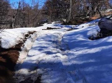 Campo · 34740000ha · Campo Ganadero, Forestal, Turístico
