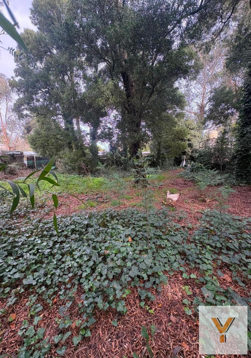 Terreno en venta ubicado sobre calle Los Paraisos e/ Los Aromos y Los Plátanos