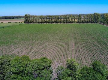 Campo · 5ha · Chacra en Venta en Colonia Caroya 4,87 Ha