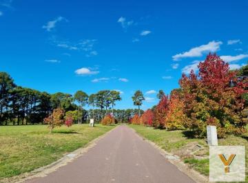Terreno · 1600m² · Terreno en Venta - 1600 m² - Los Pinares Country Club, Exaltación de La Cruz