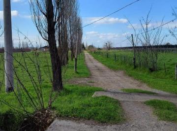 Terreno · 5000m² · Terreno, Las Paredes, San Rafael Mendoza