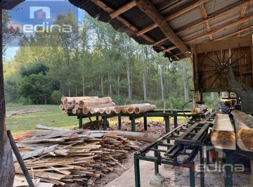 Campo · 400000ha · Venta de Chacra/aserradero en Isla en Campana