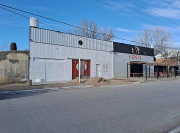 Bodega-Galpón · 240m² · 2 Ambientes · Galpón en Senillosa