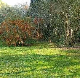 Terreno · 900m² · Venta de Lte en Villa Elisa