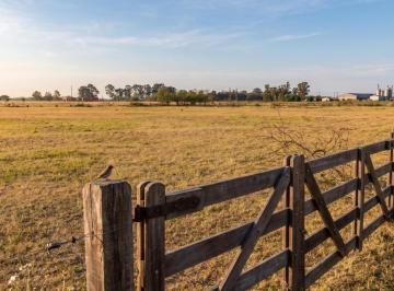 Terreno · 10000m² · Terreno en Venta 1 Hectárea Sobre Asfalto en Chascomús