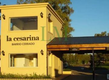 DMS-DS1-4483_2 · Venta de Lote en La Cesarina, General Rodríguez