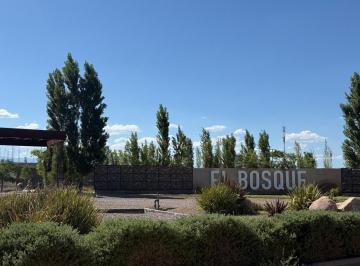 Terreno · 300m² · Terreno en Rodeo del Medio