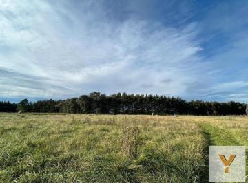 Terreno · 13300m² · Terreno en Venta - 13.300 m² - San Miguel del Monte