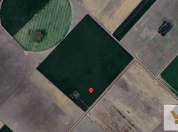 Campo · 109000ha · Campo en Venta - 10.98 Hectáreas - Rojas