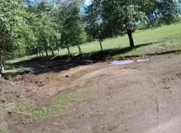 Terreno · 1006m² · Terreno en Venta - 1.006 m² - Cañuelas