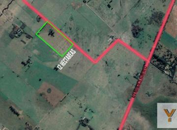Campo · 280m² · 3 Ambientes · Campo en Venta - 12 Hectáreas Totales - Jeppener