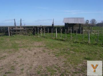 Campo · 5120000m² · Campo en Venta - 5.120.000 m² - General Lavalle