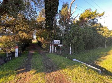 Campo · 260ha · Campo en Venta en Baradero