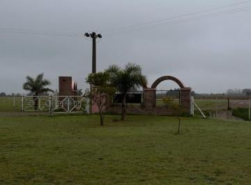 Campo · 1500ha · Venta/25 Has Suelo 1/ Ideal Centro Agroindustrial