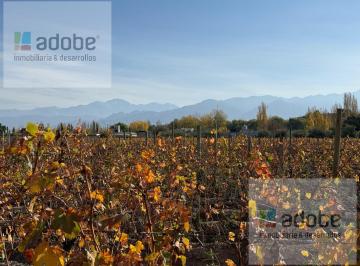 Campo · 64000m² · Adobe Inmobiliaria Vende Excepcional Finca en Vistalba Apta Para Loteo