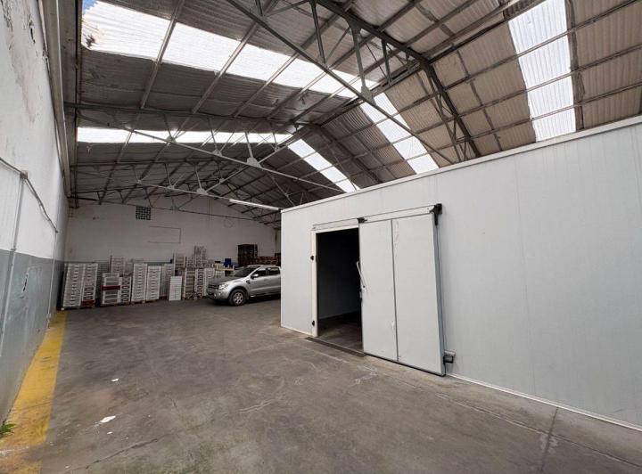 Bodega-Galpón · 550m²