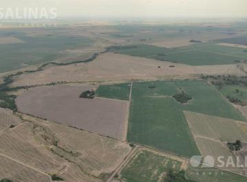 Campo · 361800ha · Chacra Productiva en San Pedro