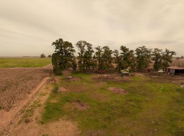 Campo · 35000m² · 1 Ambiente · Venta de Fracción de 3,5ha, Villa Lia. Subdivisibles