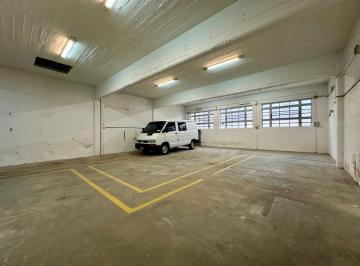 Bodega-Galpón · 200m² · Galpón 250 m² - Techo Losa y Libre de Columnas