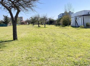 Terreno · 800m² · Terreno en Barrio Los Bretes Colón