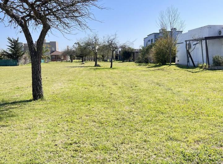 Terreno · 800m²