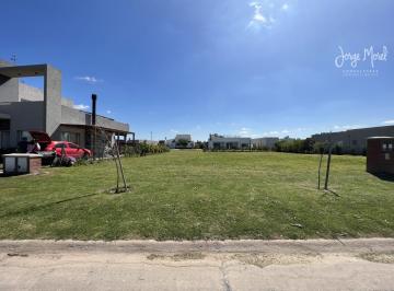 Foto Principal · Lote Venta Barrio San Ramón - Interno - 482 m² #id 16535