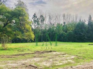 DMS-DS1-4554_2 · Venta Lote en San Diego, Moreno