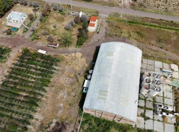 Bodega-Galpón · Venta de 176 Has - Finca con Bodega en Producción - Santa Rosa, Mza