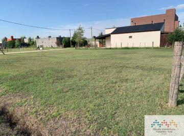 Terreno , San Vicente · Terreno / Lote en Venta de 242 m² Ubicado en Domselaar