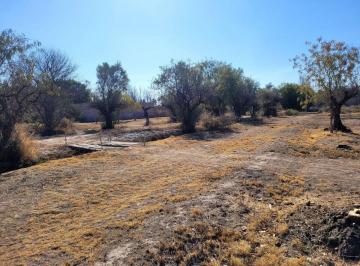 Terreno · 20000m² · Venta de Terreno Financiado (2 Ha) en Maipu