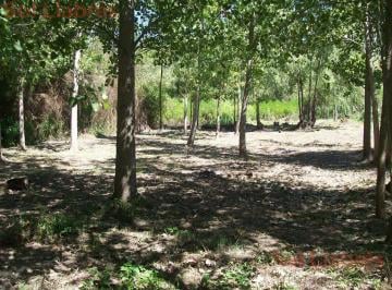 SDT-SDT-389_2 · Terreno en Venta en Arroyo Andresito