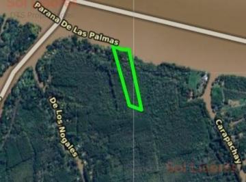 SDT-SDT-406_2 · Terreno en Venta en Primera Sección de Islas del Delta de Tigre