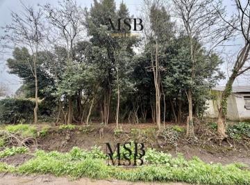 Terreno · 1000m² · Terreno - General Belgrano