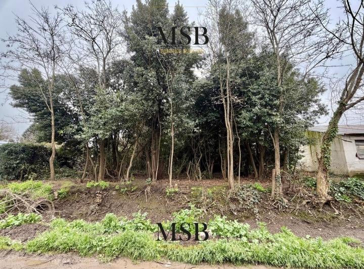 Terreno · 1000m²