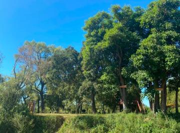 Terreno , Victoria · Isla Charigue - Dueño Directo - Escriturado - Desmontado